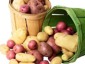 Удобрения для картофеля Удобрения для картофеля